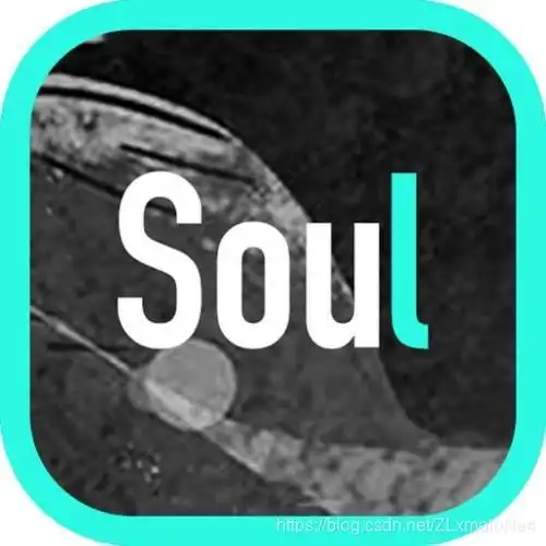 soul产品体验报告