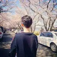阳光明媚的青春头像相爱的把握,要如何再搜索