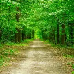 好视频直播全集好资料大全yy官方