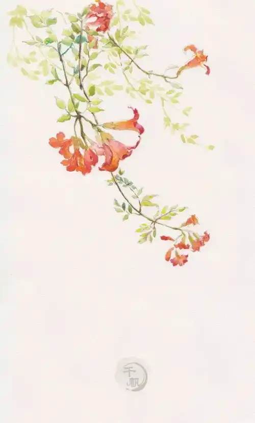 歌曲苏州话翻唱凤凰花开的路口,送给毕业季的你