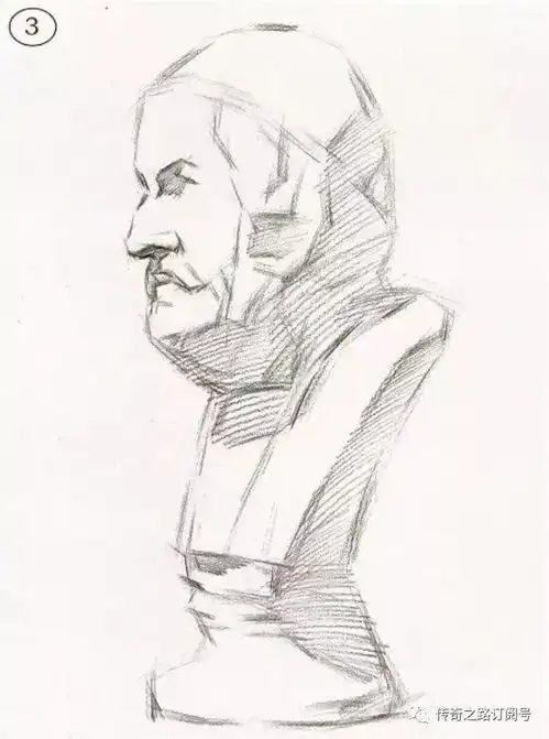 常见石膏素描头像步骤照片结构完整呈现