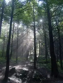 重庆到张家界自助游日志