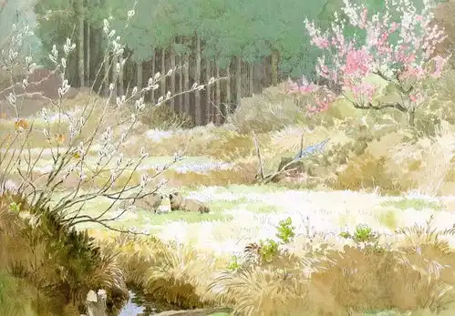 宫崎骏,愿您慢点老去