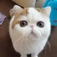 宿舍群头像搞笑微信头像图片大全