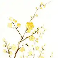 微信古风头像高清