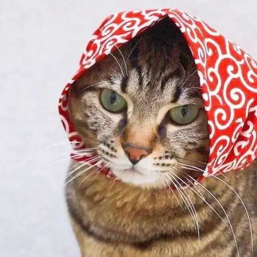 情侣头像甜蜜可以很轻易