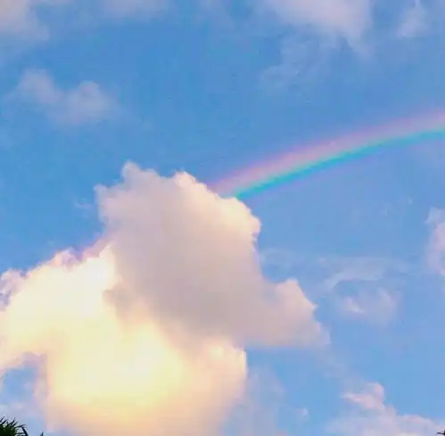 彩虹背景图人间万物不如一个你