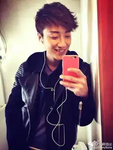 17岁走红20岁出道28岁离开,愿他飞往粉红天堂