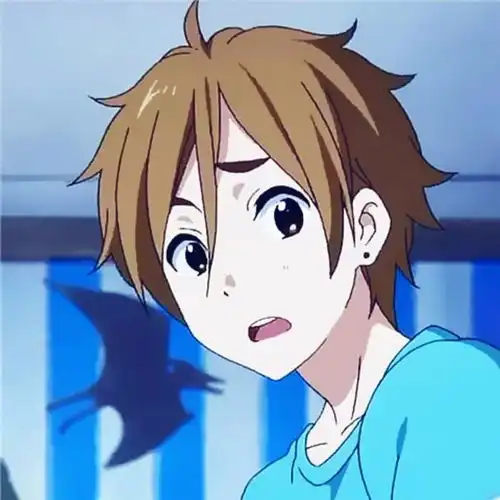 求给位大佬告诉我这个棕色头发黑色眼睛的动漫男是谁