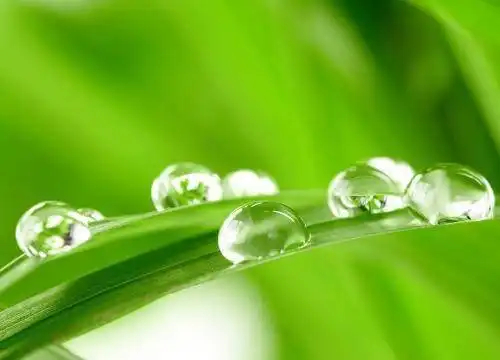 婚后依然抢手,越活越年轻,魅力四射,让人沉迷的四大生肖女