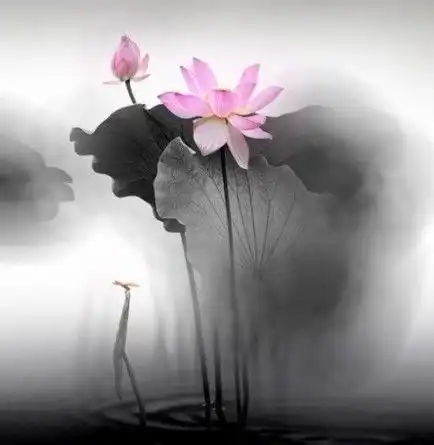 有哲理的心灵鸡汤语录,句句经典,引人深思