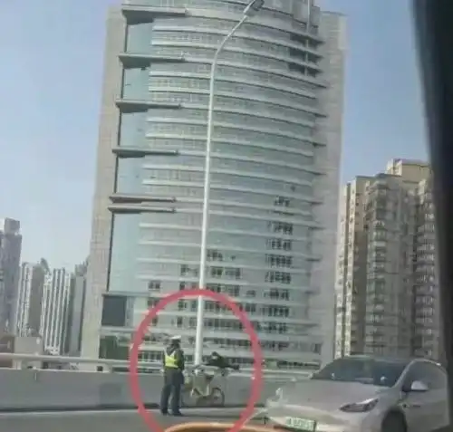 上海男子坠桥身亡后续房子正在装修儿子上大学,原因让人揪心