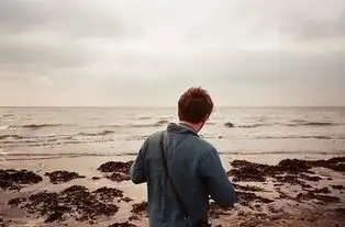 忧郁男生欧美图片2015即使明知我在痴心妄想