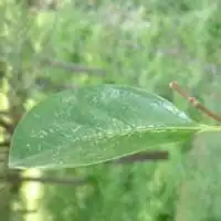 适合做男人头像风景照片微信头像图片大全