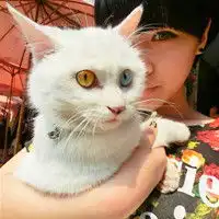 求可爱的女生头像,最好带点搞怪的