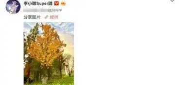 贾乃亮外出看夕阳落寞的背影令人心疼