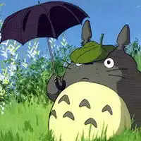 龙猫的头像,动画里的