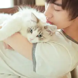 配一张男情头,猫颜色也要白的