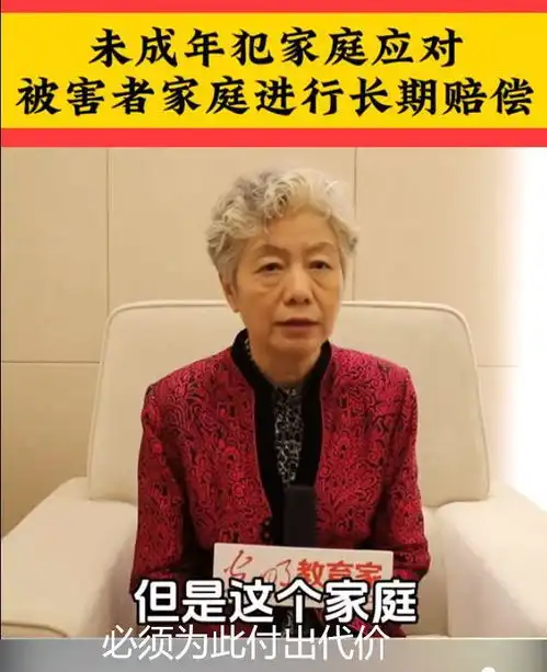 警方通报15岁少年遭2名男生杀害,李玫瑾未成年犯家庭长期赔偿