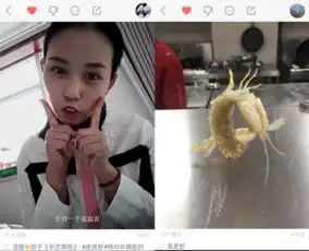 教育部公布十大网络用语快手热词扎心了老铁入榜