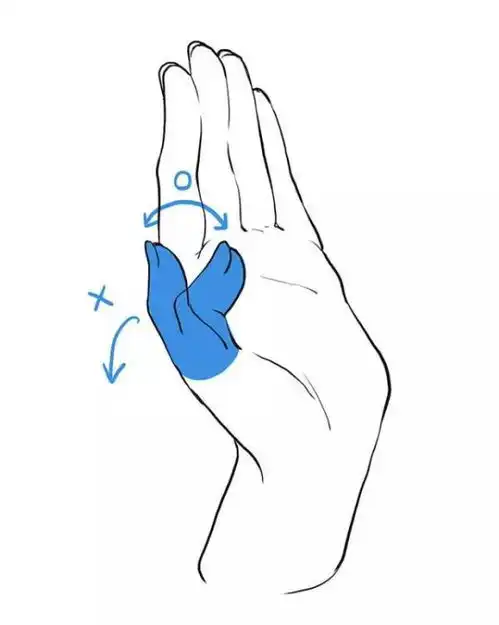 求动漫各种手的动作铅笔图练习画手