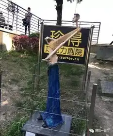 今朝上海花5300元从日本人肉背回电饭煲,不想其一次次放电,狂撩家人