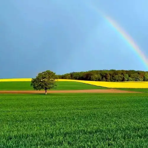 儿童票按身高还是按年龄平江家长们快来看交通运输部怎么说