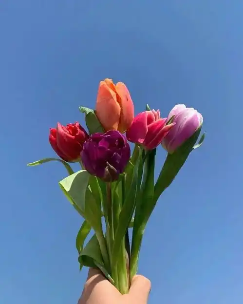 女人心态阳光的句子,经典至极,大彻大悟