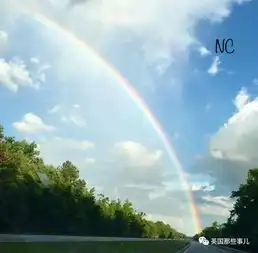 故事一个父母双亡的小男孩,一个关于彩虹的美丽谎言最后的结局,有点赞