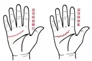 传统文化手掌上秘密大全