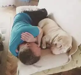 过年带狗狗回家的你,还能带走吗