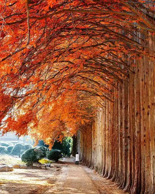 春夏风景摄影技巧6个,日常摄影必备,照片想好看一点也不难