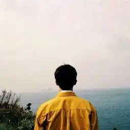 和这样的头像差不多的头像还需要两个在线急等