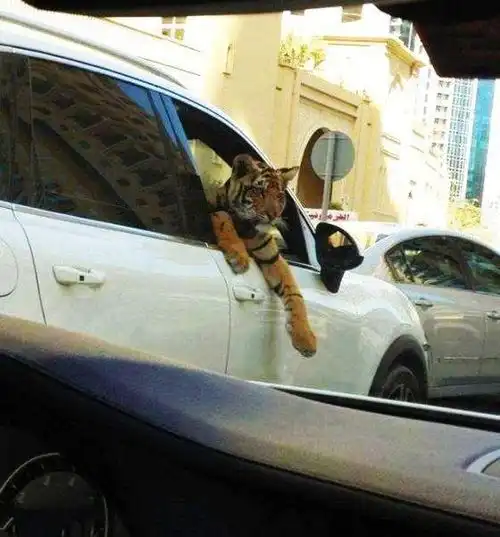 幽默笑话给钱有个什么用啊,一转眼我亲爱的老妈就没收了