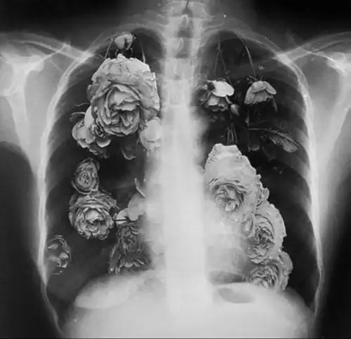 有一张图是一个男生拿着手捧花只有手臂和花在照片里有人知道吗