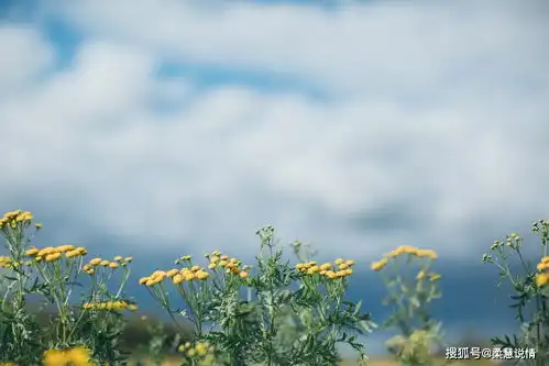 俘获男人心的秘诀阿伦森效应