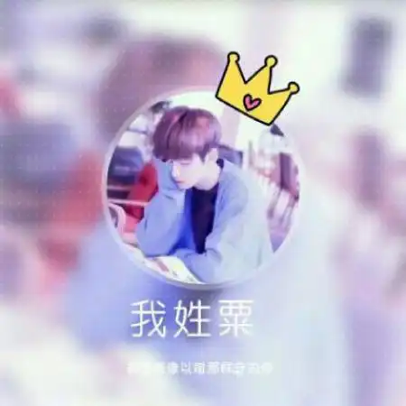 男生姓氏头像,圆形边框加上皇冠加上我姓什么