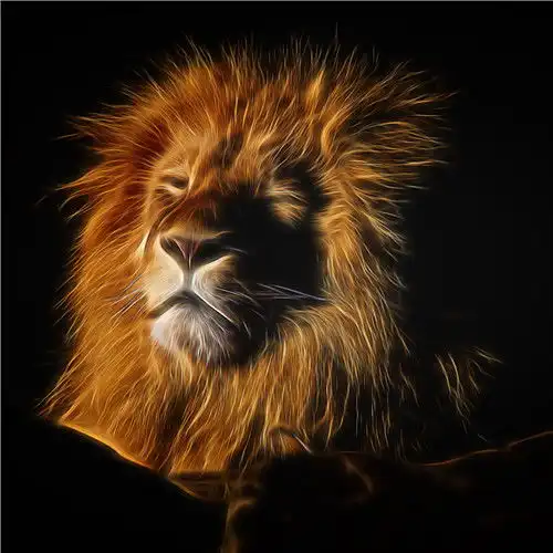 微信头像狮子图片大全,冷酷霸气的雄狮微信头像
