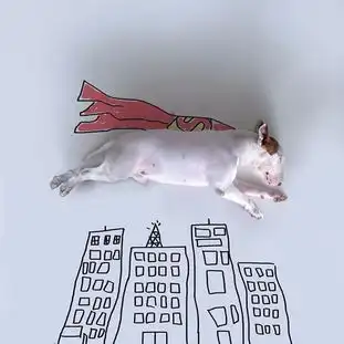 奇葩主人玩坏汪星人