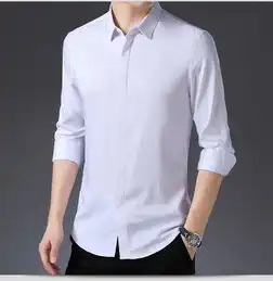 汤河之家2019男士新款秋季长袖衬衫批发纯色免烫衬衣男装b