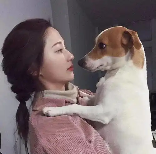 优雅三字的微信名字