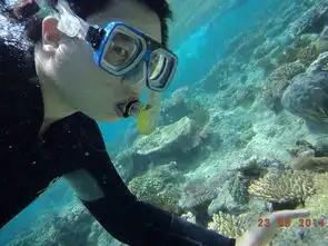 大堡礁最佳观赏地凯恩斯的蓝色之旅