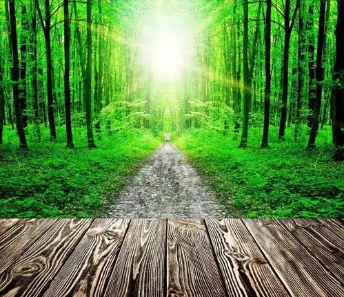 玩转双节,匠工文坊静待您呈来文字盛宴......