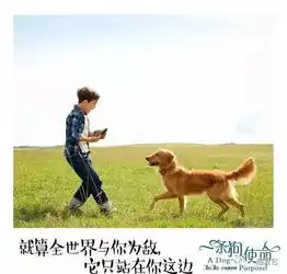 宠电影飘洋过海,穿越几世,我仍要找到你