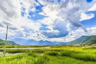 为何泸沽湖飞去不可