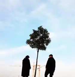 你好,能不能借一生说话搜狐其它搜狐网