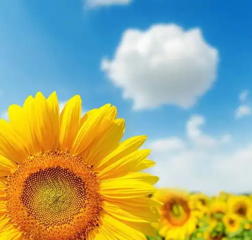 王镜海好命的女人,身上这些特征会很明显,尤其是第三个