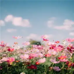 微信头像大全微信头像图片微信头像男生女生腾牛个性网