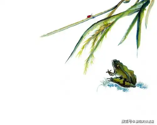 使男人怦然心动的4大生肖,婚后魅力不减而增,令人着迷