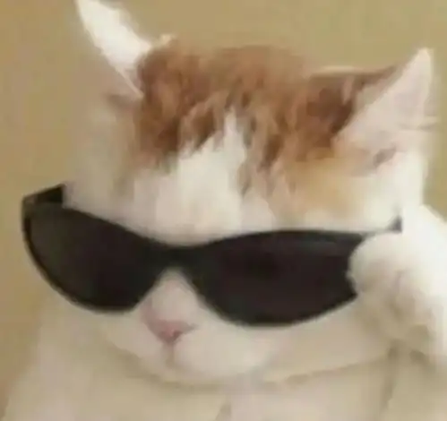 中国女孩一句话让200w洋人集体膜拜,霸屏外网的中式幽默太强了